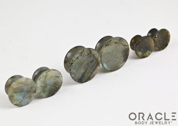 Labradorite Mayan Style Flare Plugs