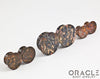 Leopardskin Jasper Mayan Style Flare Plugs