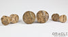 Picture Jasper Mayan Style Flare Plugs