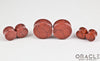 Red Synthetic Turquoise Double Flare Plugs