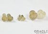 Rutilated Quartz Single Flare Plugs