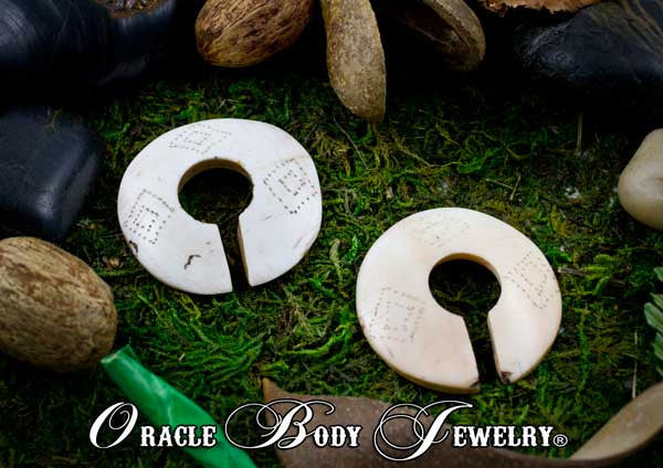 Shell Earrings