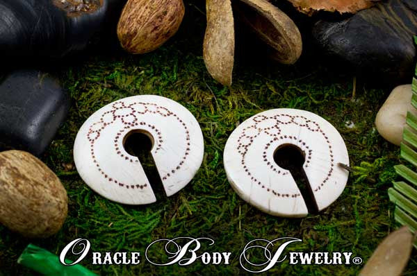 Shell Earrings