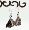 Sterling Silver Carved Watermelon Tourmaline Earrings