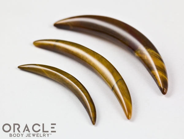 Yellow Tiger Eye Septum Tusk