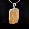 Sterling Silver Fossilized Coral Pendant