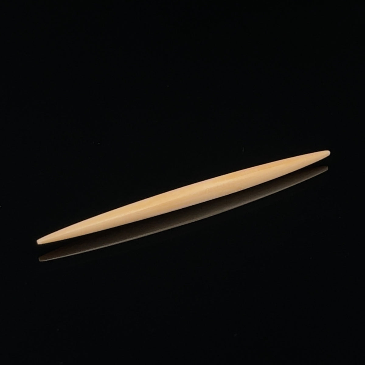 8g Fossilized Mammoth Septum Spike