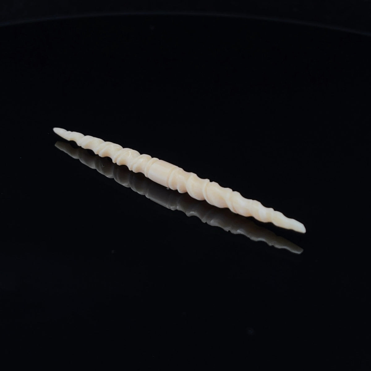 6g (4mm) Fossilized Mammoth Ivory Carved Septum Spike