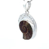 Sterling Silver Fossilized Ammonite Pendant