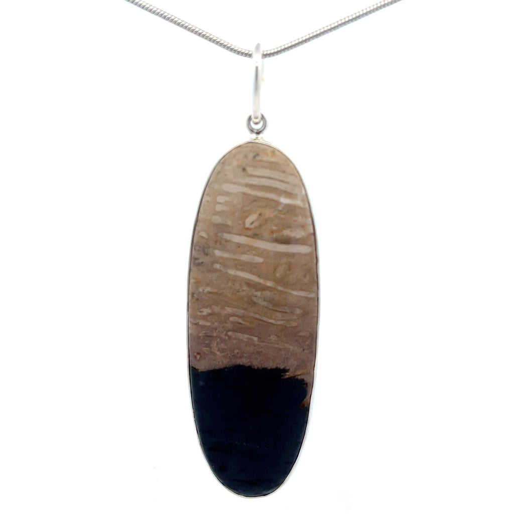 Sterling Silver Petrified Palm Wood Pendant