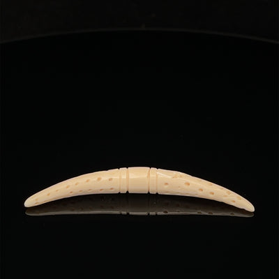 5.5mm Fossilized Mammoth Carved Septum Tusk
