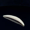 6mm Fossilized Carved Mammoth Ivory Septum Tusk