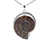 Sterling Silver Fossilized Ammonite Pendant