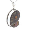 Sterling Silver Fossilized Ammonite Pendant