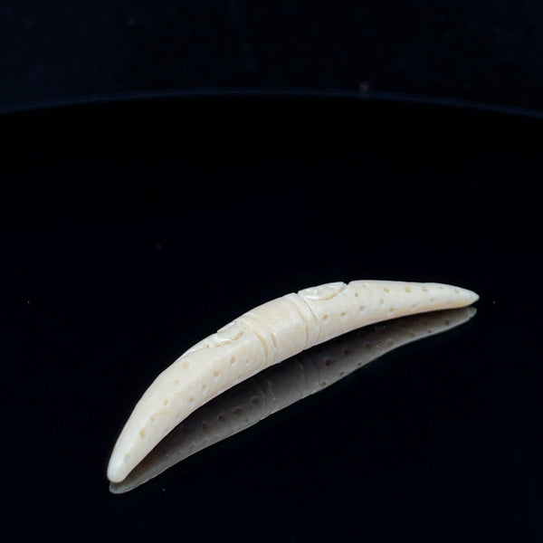6mm Fossilized Carved Mammoth Ivory Septum Tusk