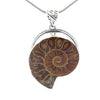 Sterling Silver Fossilized Ammonite Pendant