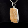 Sterling Silver Fossilized Coral Pendant