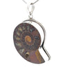 Sterling Silver Fossilized Ammonite Pendant