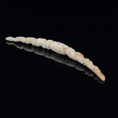 4g (5mm) Fossilized Mammoth Ivory Carved Septum Tusk