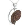 Sterling Silver Fossilized Ammonite Pendant