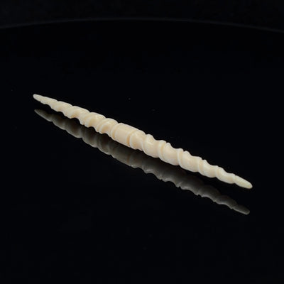 6g (4mm) Fossilized Mammoth Ivory Carved Septum Spike