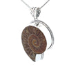 Sterling Silver Fossilized Ammonite Pendant