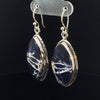 Sterling Silver Sodalite Earrings