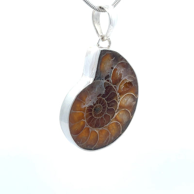 Sterling Silver Fossilized Ammonite Pendant