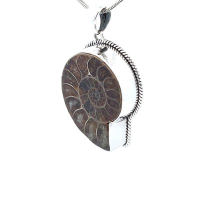 Sterling Silver Fossilized Ammonite Pendant