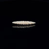 6g (4mm) Fossilized Mammoth Carved Ivory Short Septum Spike