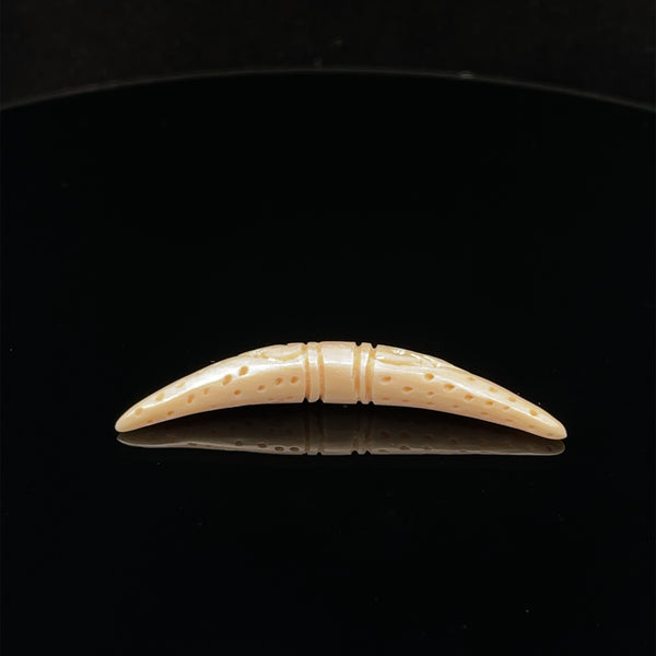 2g Fossilized Mammoth Carved Septum Tusk