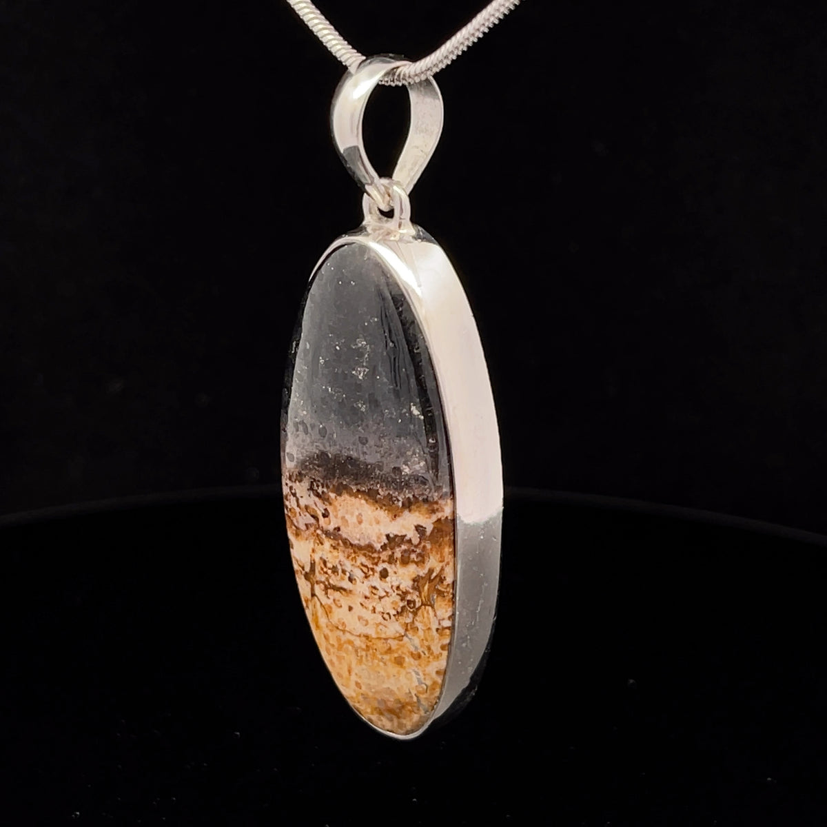 Sterling Silver Petrified Palm Wood Pendant
