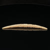 4.5mm Fossilized Mammoth Carved Septum Tusk