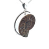 Sterling Silver Fossilized Ammonite Pendant