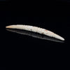 4.5mm Fossilized Carved Mammoth Ivory Septum Tusk
