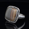 Sterling Silver Wildhorse Picture Jasper Ring Size 11