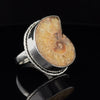 Sterling Silver Ammonite Ring Size 7