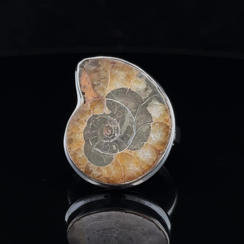 Sterling Silver Ammonite Ring Size 8