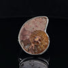 Sterling Silver Ammonite Ring Size 9