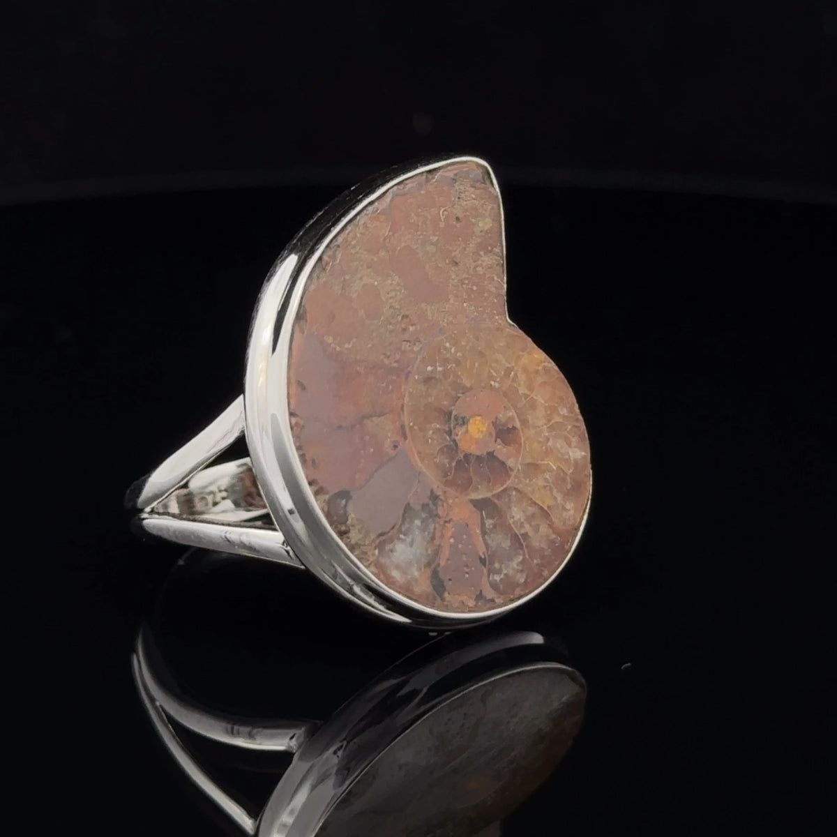 Sterling Silver Ammonite Ring Size 9