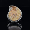 Sterling Silver Ammonite Ring Size 10