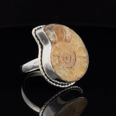 Sterling Silver Ammonite Ring Size 10