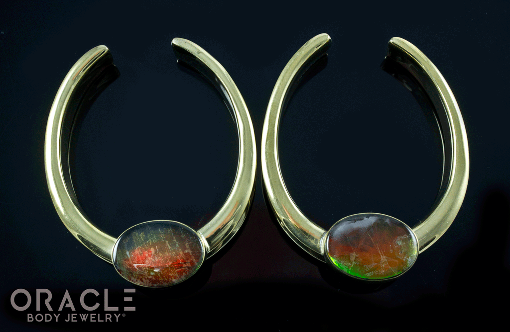 1-3/4" (44mm) Brass Saddles with Ammolites