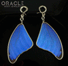 Sterling Silver Crossover With Natural Blue Morpho Butterfly Wings
