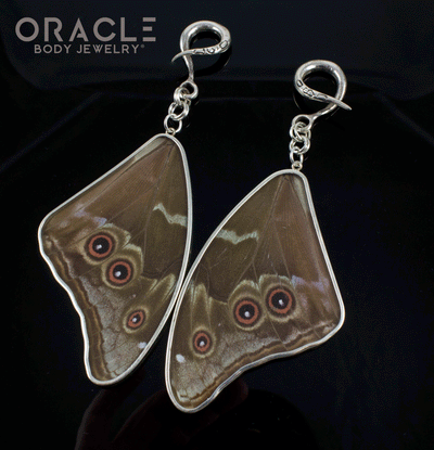 Sterling Silver Crossover With Natural Blue Morpho Butterfly Wings