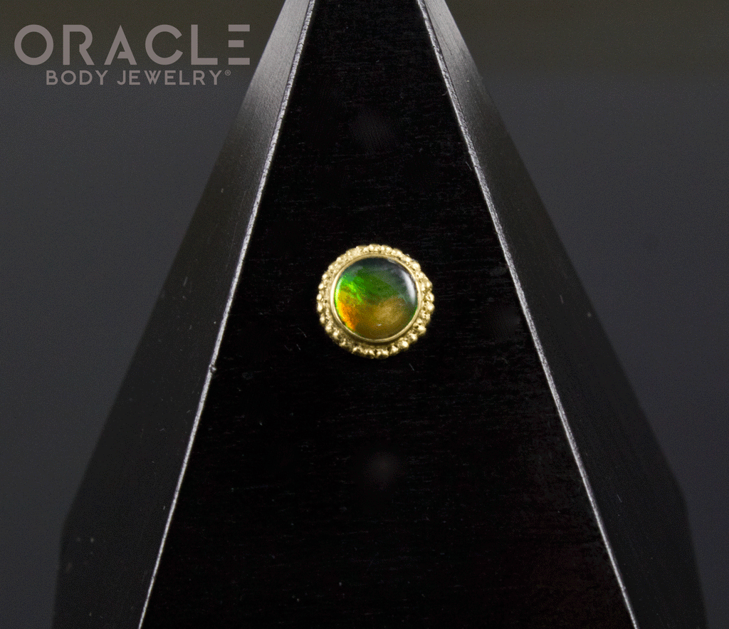 14k Ammolite Threadless Gold End