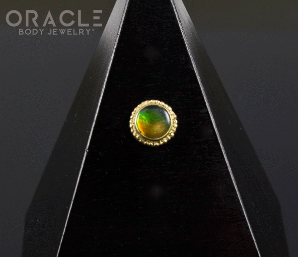 14k Ammolite Threadless Gold End