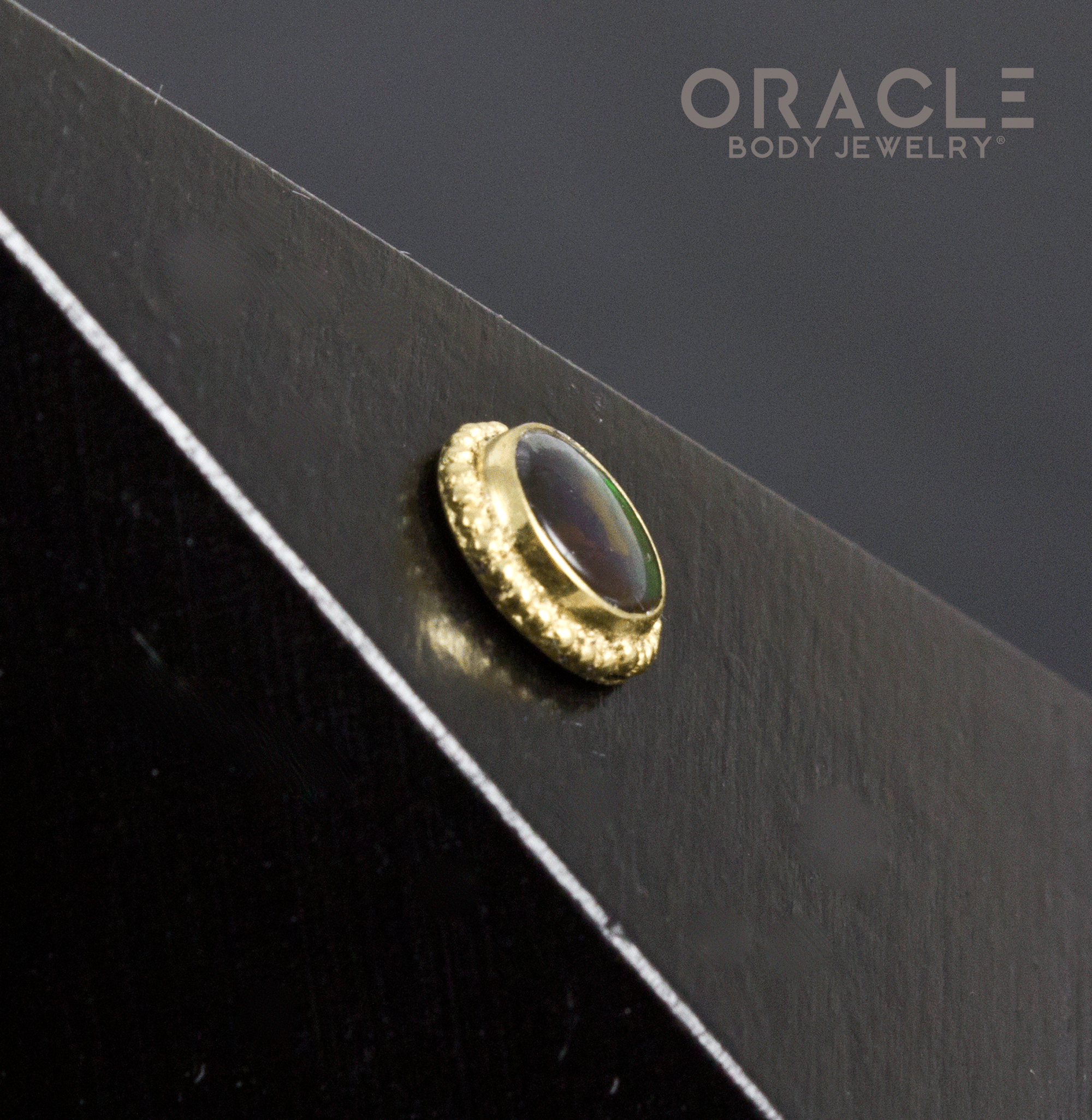 14k Ammolite Threadless Gold End