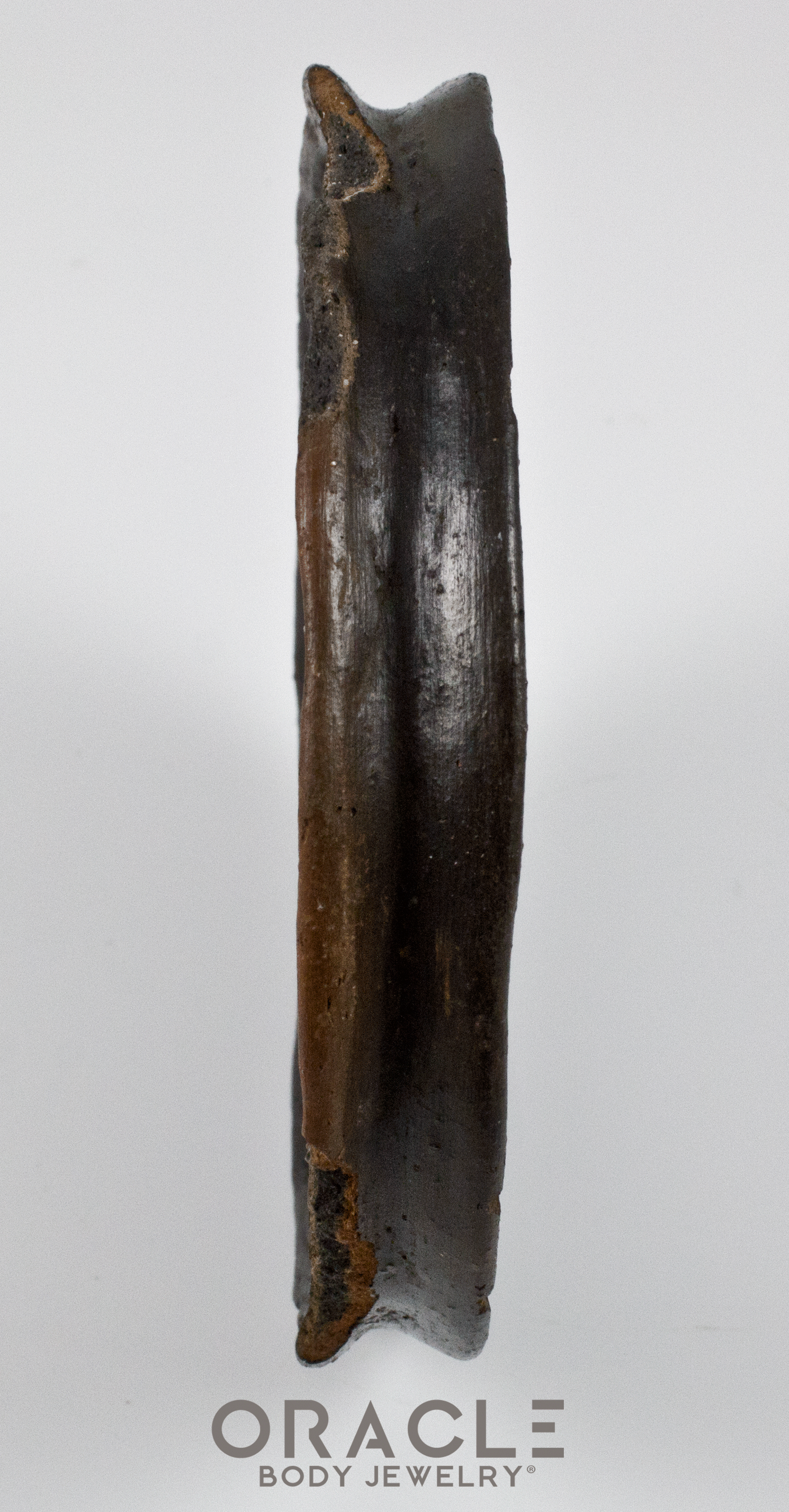 Mursi Clay Lip Plate