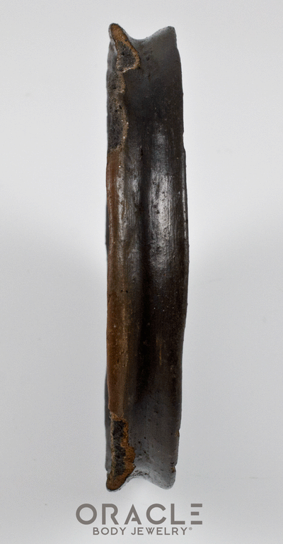 Mursi Clay Lip Plate